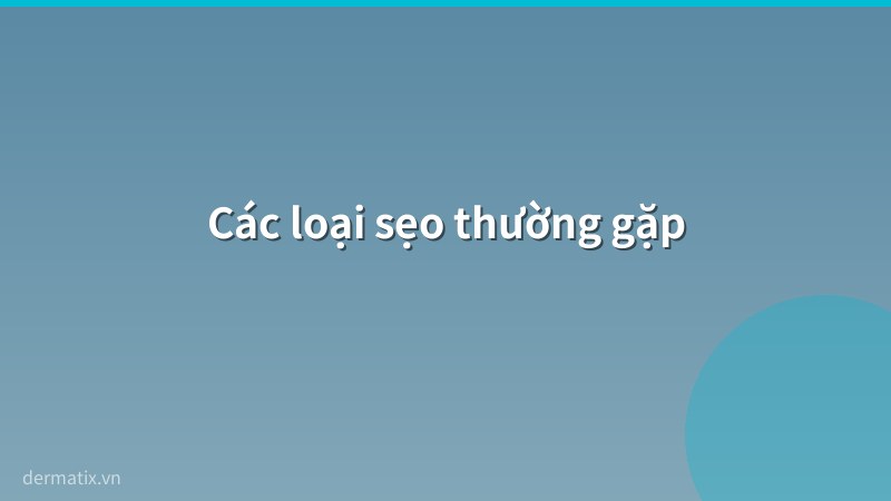 cac loai seo - Sẹo là gì? Phân loại sẹo và cách nhận biết từng loại
