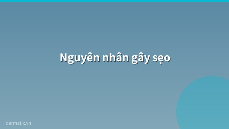nguyen nhan - Sẹo là gì? Phân loại sẹo và cách nhận biết từng loại